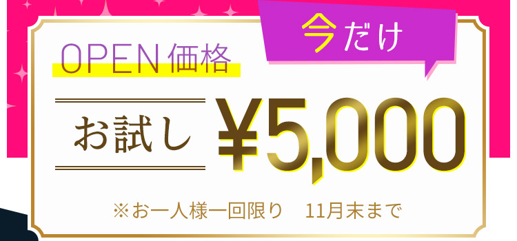 OPEN価格今だけお試し¥5,000 ※お一人様一回限り　2021年11月末まで